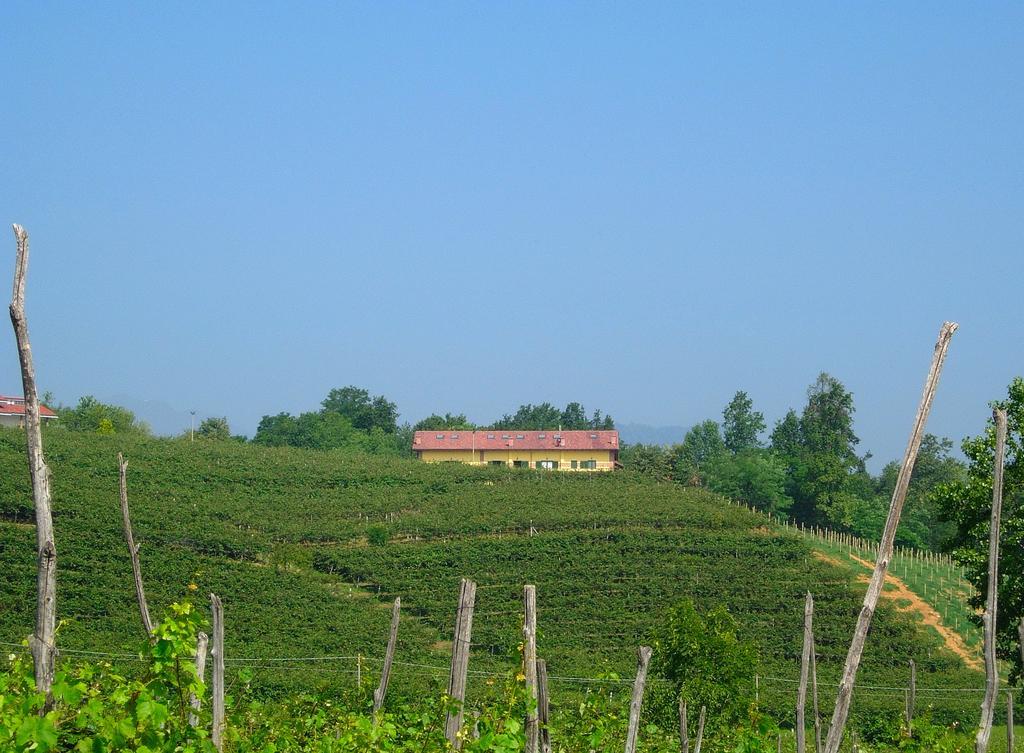 Agriturismo Turina Bricherasio Экстерьер фото