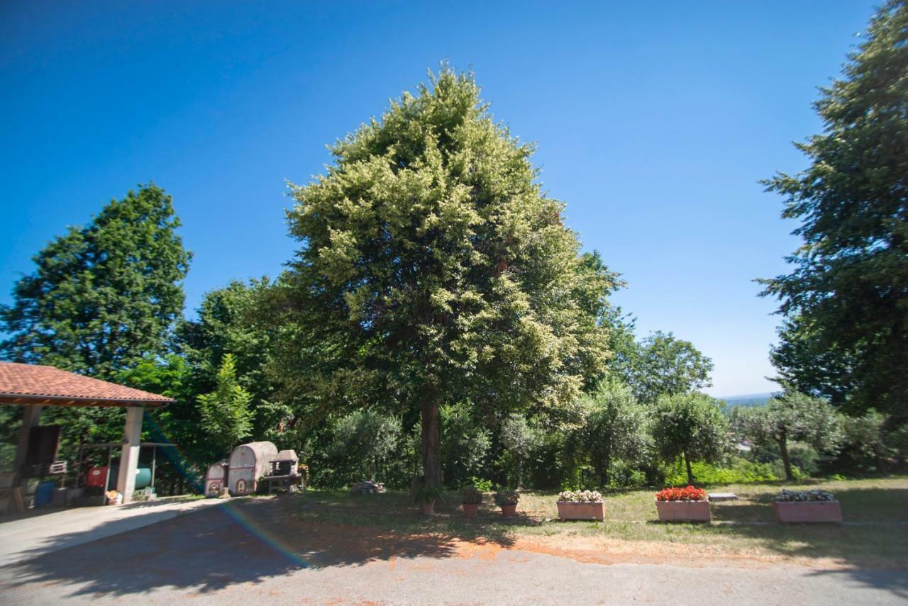 Agriturismo Turina Bricherasio Экстерьер фото
